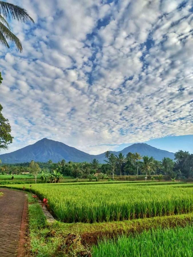 Ijen Mansjestic B&B Tamansuruh Екстериор снимка